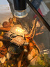 闊庭（KUOTING）烏龜缸生態(tài)缸寵物飼養(yǎng)箱透明爬寵專用水陸兩用過濾款黑色【大號(hào)】 曬單實(shí)拍圖