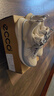 愛步（ECCO） BIOM2.2 戶外運(yùn)動鞋女 25年夏季新品戶外輕便跑步鞋 健步830843 白色/天空藍(lán)83084360611 37 (235mm) 曬單實(shí)拍圖
