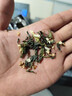 產(chǎn)地直發(fā)：2025新品茉莉花茶組合，花香濃郁，喜歡的不要錯過！ 茉莉花組合4罐+2袋300G贈主人杯 曬單實拍圖
