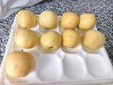 甜醉了 煙臺蘋果黃元帥粉面蘋果黃金帥黃香蕉山東新鮮水果當季整箱鮮果 凈重4.5斤75mm 曬單實拍圖