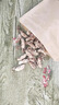 北京同仁堂大別山金蟬花野生蟲(chóng)草花竹林中藥材野生無(wú)硫金蟬花蟲(chóng)草 精選金蟬花200克 曬單實(shí)拍圖