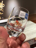 肖特圣維莎（SCHOTT ZWIESEL） 德國進口無鉛水晶白酒杯 小酒杯套裝 德國制造白酒杯分酒器 75ml 1只（散賣） 曬單實拍圖