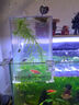 沃韋朗沃韋朗負壓魚(yú)缸倒立懸浮免換水生態(tài)缸全景透明智能桌面迷你斗魚(yú)缸 沃韋朗負壓缸【單缸+支架】12*13*19cm 曬單實(shí)拍圖