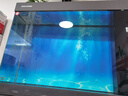 閩江（minjiang）魚(yú)缸水族箱客廳家用中大型底濾輕奢極簡(jiǎn)造景超白玻璃金龍魚(yú)缸 神秘灰色（基礎(chǔ)款） 長(zhǎng)100x寬34x高152cm（超白玻璃） 曬單實(shí)拍圖