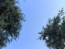 無(wú)印良品冰絲夏涼被四件套夏天家用空調(diào)被套件被芯薄被床單夏被200*230cm 曬單實(shí)拍圖