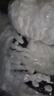 百家好世旋轉拖把替換布31cm寬5個裝托把頭超細纖維吸水墩布頭替換裝 曬單實拍圖