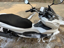 LA PALAU【德國(guó)】洗車(chē)液水蠟高泡沫清潔清洗劑汽車(chē)強(qiáng)力去污蠟水黑白車(chē) 4斤濃縮洗車(chē)水蠟【送海綿+毛巾】 曬單實(shí)拍圖