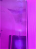 香山 電子秤商用電子臺秤 廚房秤高精度克稱菜秤計數(shù)秤計價食物秤超市市場臺秤 ACS-JC11 深紅色【LCD黑字-室內(nèi)外通用】 曬單實拍圖