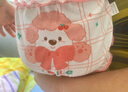愛寶適兒童內(nèi)褲寶寶面包褲女童純棉三角短褲小孩褲頭4條小狗90碼T200 曬單實(shí)拍圖