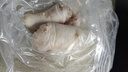 農(nóng)家溜達放養(yǎng)土豬肉豬尾巴新鮮長尾巴人工宰殺整根冷凍批發(fā)一整箱 送燉料 切塊發(fā)貨 大樹林散養(yǎng)土豬【短尾半斤試吃】 曬單實拍圖