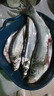 久巖 新關(guān)東魚鉤成品綁好子線雙鉤套裝黑坑鯽魚鯉魚鰱鳙大物無刺魚鉤 75cm新關(guān)東無刺-鉤2+1.2 鉤3+1.5 曬單實(shí)拍圖