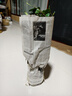 風(fēng)車(chē)茉莉爬藤植物庭院大苗絡(luò)石藤銀絲茉莉花四季開(kāi)花盆栽花卉好養(yǎng) 1米左右高度三顆+肥 帶點(diǎn)土發(fā)貨【不含盆】 曬單實(shí)拍圖
