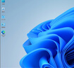 正版win11專業(yè)版系統(tǒng)u盤重裝Windows10家庭中文版升級Pro純凈指導 win11專業(yè)版-中文簡體USB（可激活一臺） 曬單實拍圖