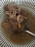 午羊 寧夏灘羊肉 生鮮 新鮮羊排條法式羊排凈重500g 燉煮燒烤食材 【店長推薦】羊蝎子4斤 曬單實拍圖
