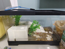 BARBAROUS GROWTH烏龜飼養(yǎng)缸生態(tài)造景家用帶蓋小型別墅爬臺底部排水專用箱巴西龜缸 蓋板+曬臺+雨淋過濾+曬背燈+禮包 中號-30*18*18cm 黑色【防逃逸|加厚|加高】 曬單實拍圖
