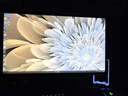LG 27G850A 27英寸  4K240Hz 切1K480 雙模電競(jìng)顯示器 DP2.1 HDR600 2000:1旋轉(zhuǎn)升降 原生10bit 極競(jìng) NanoIPS Black 27G850A 曬單實(shí)拍圖