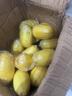 滿柚春無籽青檸檬塔西提薄皮多汁香水檸檬小青檸奶茶店專用 無籽黃檸檬5斤裝大果單果100克起 曬單實拍圖