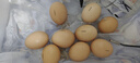 得力溫控器開關(guān)溫度控制器數(shù)顯智能全自動(dòng)溫控儀帶探頭控溫器插座 【10A常規(guī)插頭】氣溫探頭2米 曬單實(shí)拍圖