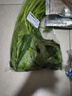 空心菜 300g 曬單實拍圖
