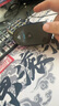 羅技（G）G102第二代游戲鼠標(biāo) RGB流光燈效鼠標(biāo) 輕量化  游戲級(jí)8000DPI傳感器 黑色 200-8000DPI 曬單實(shí)拍圖