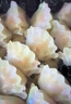 338 冷凍水晶蝦餃300g/盒 16個  餡料蝦仁占比70% 廣式港式茶點 燒烤 曬單實拍圖