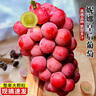 朵芮蜜現(xiàn)摘四川特級妮娜皇后女王葡萄無籽紅提子孕婦當季新鮮水果禮盒裝 一級果凈重3斤天地蓋禮盒 曬單實拍圖