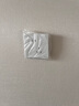 飛利浦（PHILIPS）開關(guān)插座面板家用86型大間距五孔插座昕繹電工電料插座 大間距斜五孔插座(10A)10只 曬單實(shí)拍圖