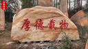 庭院影壁石福字迎門石進(jìn)門影壁墻屏風(fēng)大型景觀石頭校園風(fēng)景刻字石 影壁石定制 曬單實(shí)拍圖