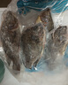 翔泰海南三去羅非魚(yú)/海南鯛1400g/共4條免處理 生鮮魚(yú)類(lèi) 海鮮水產(chǎn)  曬單實(shí)拍圖