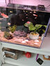 方小章第2代背濾魚(yú)缸超白玻璃水族箱中小型全套家用生態(tài)魚(yú)缸桌面金魚(yú)缸 BL350黑色2代-標(biāo)配 曬單實(shí)拍圖