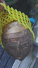 京鮮生 廣西荔浦芋頭  3斤 2-3個 新鮮蔬菜生鮮粉糯毛芋頭桂林 源頭直發(fā) 曬單實拍圖