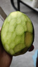 【新鮮上市】正宗攀枝花凱特芒果新鮮水果 帶箱2斤200g+ 曬單實拍圖