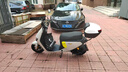 九號（Ninebot）九號電動新品Fz 110電動自行車9號智能鋰電【門店自提】 到門店選顏色 曬單實拍圖
