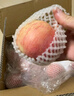 佳農(nóng) 煙臺(tái)紅富士蘋果 凈重10斤 一級(jí)果 單果重160g+  生鮮水果 曬單實(shí)拍圖
