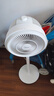 美的（Midea）【暴風循環(huán)】空氣循環(huán)扇大風量搖頭電風扇家用臺式落地扇輕音臥室節(jié)能小風扇柔風輕羽扇 FGA24TQ 曬單實拍圖