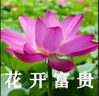 卡西歐（CASIO）50周年紀(jì)念款 限定戒指手表禮盒 液晶顯示LED照明 CRW-001-1PR 【戒指手表禮盒】 曬單實(shí)拍圖