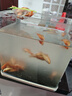 觀賞魚紅草金魚冷水魚金魚小魚活魚小寵物好養(yǎng)耐活闖缸練手飼料魚 草金魚三十條+2條備損 3-5cm 曬單實拍圖
