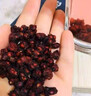 吾家余堂倪海夏大補(bǔ)肝湯 桂枝干姜五味子淡竹葉旋覆花大棗赭石中草藥 七付裝 【真材實(shí)料】 倪師經(jīng)方真空原料包裝 曬單實(shí)拍圖