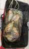 虎閣 活魚桶 釣魚桶多功能加厚釣魚箱打水桶裝魚桶便捷式折疊水桶 曬單實(shí)拍圖