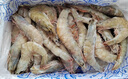 東上御品 國產(chǎn)青島大蝦 特大號白蝦 2030規(guī)格 凈重3斤 盒裝活凍 曬單實拍圖