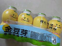 金豆芽兒童金銀花柚子汁155ml*16瓶禮盒夏天孩子飲料寶寶零食果汁西柚汁 曬單實拍圖