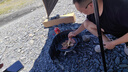 火楓（FIRE-MAPLE）戶外套鍋野外旅行裝備套裝便攜露營燒水炊具野餐自駕多人廚具用品 3-5人 擎天爐+罐+特別版+包+擋板 曬單實拍圖