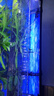 YEE全光譜魚缸燈水草燈魚缸夾燈水族箱專用爆藻led造景照明觀賞燈15w 曬單實(shí)拍圖