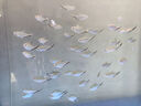 創(chuàng)星魚缸過濾器過濾桶循環(huán)水泵系統(tǒng)全套龜缸三合一周轉過濾箱靜音殺菌 【UV殺菌】80-150CM缸（大流量選擇）CFS 【搭配前置過濾桶】套裝 曬單實拍圖