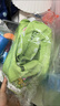 星舵兒童游泳圈浮力衣男女童浮袖手臂圈寶寶馬甲背心救生衣游泳裝備 浮力馬甲-綠色小恐龍適合20-50斤 曬單實(shí)拍圖
