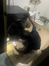 松下（Panasonic）【吳磊同款】滾筒洗衣機(jī)全自動帶烘干洗烘一體 505mm超薄全嵌 545mm大筒徑 小薄荷S5 XQG100-M2SA1 曬單實(shí)拍圖