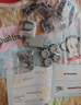 ONEBOT拼裝積木模型14+男孩智能AR玩具14+生日禮物智能編程生日禮物 獵戶座六足泰坦 曬單實(shí)拍圖