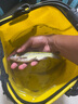 森森（SUNSUN）造浪泵魚(yú)缸水族箱沖浪泵耀藍(lán)造流吹糞便吹魚(yú)便 升級(jí)雙頭24W吸盤(pán)款 高效強(qiáng)勁 流量調(diào)節(jié) 曬單實(shí)拍圖