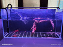 吉印刀鋒Xpro魚缸燈增艷led燈防水三基色紅龍燈鸚鵡魚錦鯉發(fā)色燈 73cm 曬單實拍圖