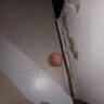 霹靂鼓老鼠藥三步到一聞就死一窩端神器家用飯店養(yǎng)殖場(chǎng)倉(cāng)庫(kù)室內(nèi)外特效劑 老鼠藥三步到一聞就死一窩端特效 曬單實(shí)拍圖